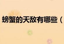 螃蟹的天敌有哪些（螃蟹的天敌是什么动物）