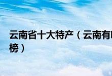 云南省十大特产（云南有哪些特产最出名云南著名特产排行榜）