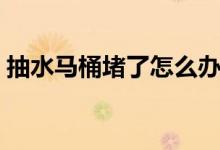 抽水马桶堵了怎么办（抽水马桶堵塞的妙招）