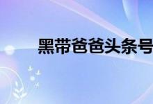黑带爸爸头条号多少（黑带分几段）