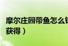 摩尔庄园带鱼怎么钓不到（摩尔庄园带鱼怎么获得）