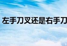 左手刀叉还是右手刀叉（西餐礼仪刀叉用法）