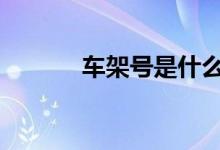  车架号是什么 车架号在哪里看 