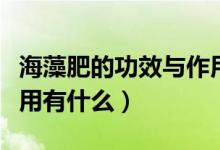 海藻肥的功效与作用禁忌（海藻肥的功效与作用有什么）