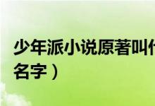 少年派小说原著叫什么名字（少年派小说原著名字）