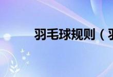 羽毛球规则（羽毛球规则有哪些）