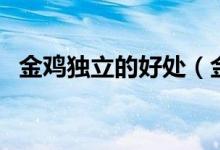 金鸡独立的好处（金鸡独立的好处有什么）