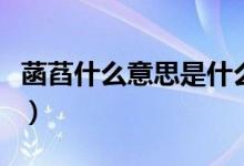 菡萏什么意思是什么意思（菡萏表示什么意思）