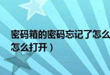 密码箱的密码忘记了怎么打开2个锁（密码箱的密码忘记了怎么打开）