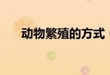 动物繁殖的方式（动物界的繁殖方法）