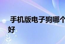  手机版电子狗哪个最准手机电子狗软件哪个好 