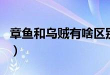 章鱼和乌贼有啥区别（乌贼和章鱼有哪些不同）