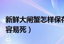 新鲜大闸蟹怎样保存（活的大闸蟹怎么保存不容易死）