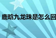 鹿晗九龙珠是怎么回事（鹿晗七龙珠的意思）