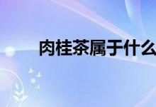 肉桂茶属于什么茶（肉桂茶怎么喝）