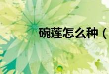碗莲怎么种（碗莲的种植方法）