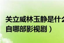 关立威林玉静是什么电视剧（关立威林玉静来自哪部影视剧）