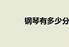 钢琴有多少分贝（钢琴有多重）