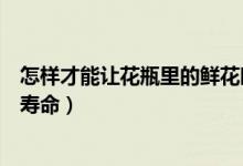 怎样才能让花瓶里的鲜花时间长（花瓶里面加什么延长鲜花寿命）