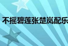 不摇碧莲张楚岚配乐剪辑（不摇碧莲的意思）