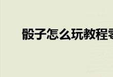 骰子怎么玩教程零基础（骰子怎么玩）