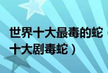 世界十大最毒的蛇（世界上最毒的蛇排名全球十大剧毒蛇）