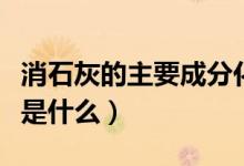 消石灰的主要成分化学式（消石灰的主要成分是什么）