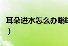 耳朵进水怎么办嗡嗡响又疼（耳朵进水怎么办）