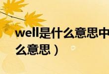 well是什么意思中文翻译怎么读（well是什么意思）