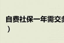 自费社保一年需交多少（自费社保的缴费标准）