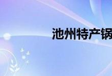 池州特产锅巴（池州特产）