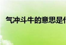 气冲斗牛的意思是什么（气冲斗牛的意思）