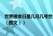 世界粮食日是几月几号世界地球日（世界粮食日是几月几日（图文））