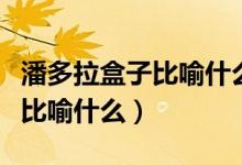 潘多拉盒子比喻什么（人们常用潘多拉的盒子比喻什么）