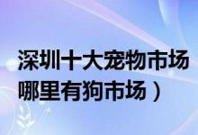 深圳十大宠物市场（深圳宠物市场在哪里深圳哪里有狗市场）