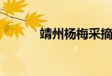 靖州杨梅采摘时间（靖州杨梅）