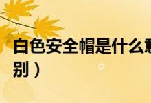白色安全帽是什么意思（白色安全帽是什么级别）