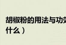 胡椒粉的用法与功效与作用（胡椒粉的用法是什么）