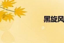 黑旋风（黑旋风）