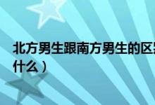 北方男生跟南方男生的区别（北方男人和南方男人的区别是什么）