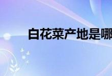 白花菜产地是哪里的（白花菜产地）