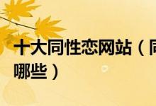 十大同性恋网站（同志网站盘点男同性网站有哪些）