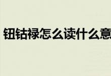 钮钴禄怎么读什么意思（钮钴禄有什么含义）