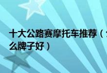 十大公路赛摩托车推荐（公路摩托车品牌排行摩托车跑车什么牌子好）