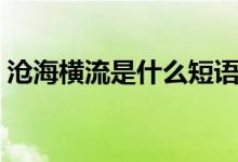 沧海横流是什么短语（沧海横流是什么意思）