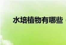 水培植物有哪些（水培植物都有哪些）