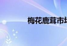 梅花鹿茸市场价（梅花鹿茸）