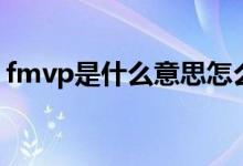 fmvp是什么意思怎么读（fmvp是什么意思）