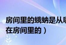 房间里的蛾蚋是从哪里来的（蛾蚋是怎么出现在房间里的）