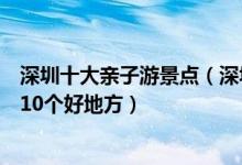 深圳十大亲子游景点（深圳带孩子去哪玩好深圳适合亲子游10个好地方）